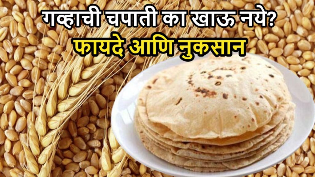Wheat Chapati Advantages and Disadvantages